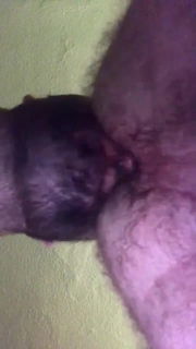 Video by Smitty with the username @Resol702,  April 3, 2023 at 3:48 PM. The post is about the topic Gay Hairy Rimmer