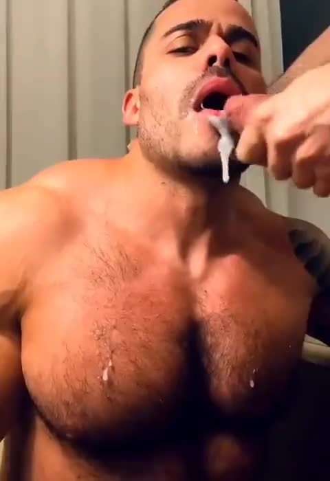 Video by Maleplay with the username @Maleplay, who is a verified user,  June 8, 2023 at 10:00 AM. The post is about the topic Gay Cum Eating Vids and Stuff