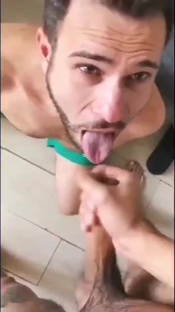 Video by Maleplay with the username @Maleplay, who is a verified user,  August 30, 2023 at 6:00 PM. The post is about the topic Gay Cum Facials