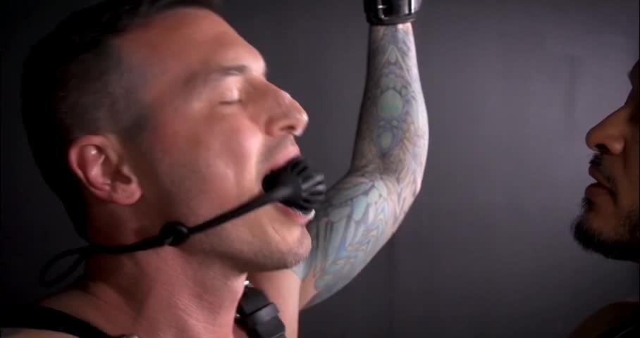 Video by Maleplay with the username @Maleplay, who is a verified user,  April 14, 2024 at 7:00 PM. The post is about the topic Gay BDSM