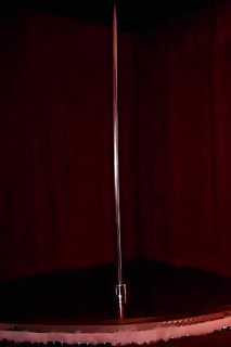 Video by BeautyLovers with the username @BeautyLovers,  May 24, 2024 at 9:00 PM. The post is about the topic Teen and the text says 'Kasia Pink Pole Dance ❤️ #iaminlove'