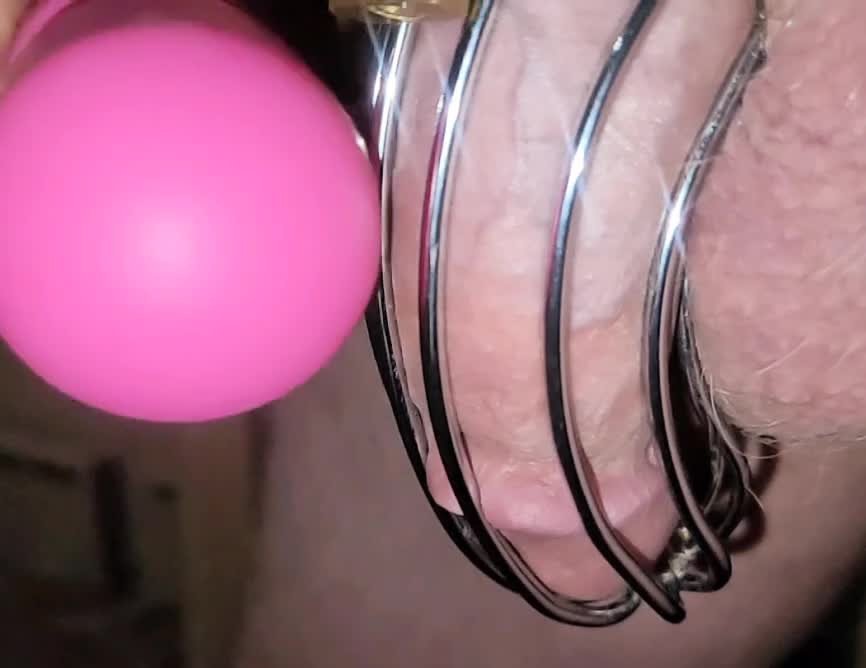 Video by Norsefun with the username @Norsefun, who is a verified user,  July 15, 2022 at 10:31 AM. The post is about the topic Cuckold Captions and the text says 'vibrating around in the cage in slow motion'