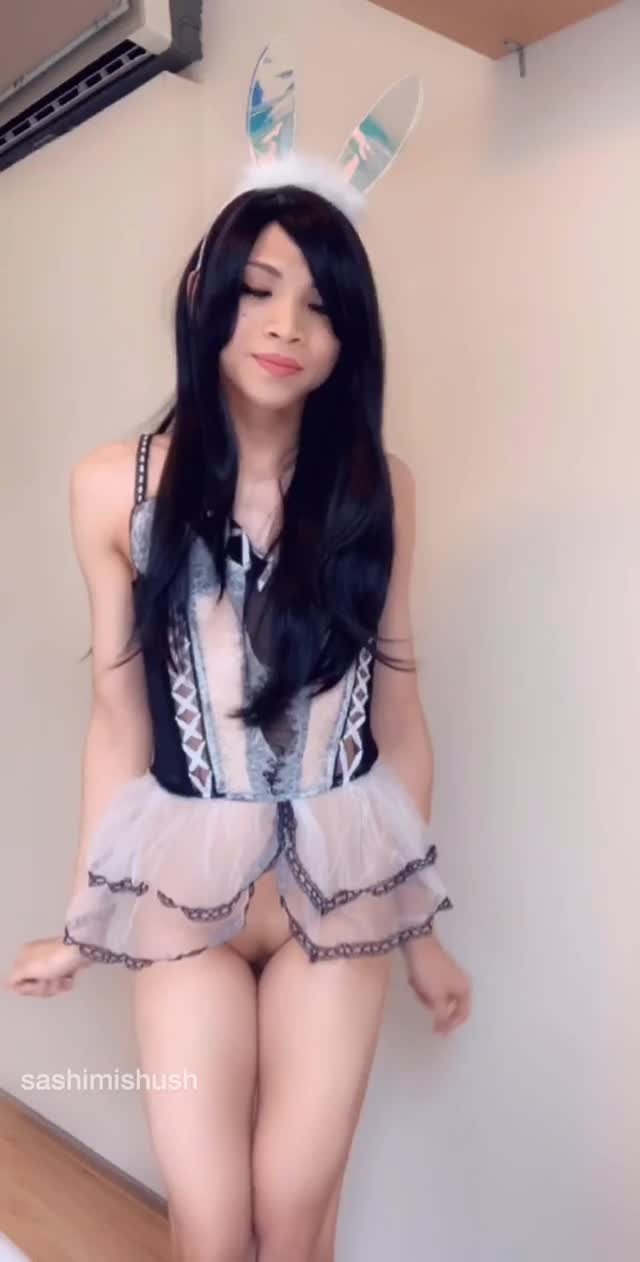 Video by SM.Buttercup with the username @SM.Buttercup,  April 28, 2022 at 8:13 PM. The post is about the topic japanese shemale and the text says 'bounce bounce, and mmmmm bounce ❤️💕💕💕💕'