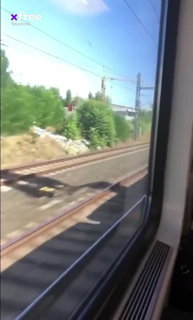 Video by BADCAT001 with the username @BADCAT001,  June 3, 2024 at 12:12 AM. The post is about the topic Public Sex and Exhibitionism and the text says 'Sex on the public track'
