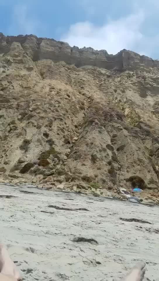 Video by Lil.Wang with the username @Lil.Wang,  January 13, 2022 at 2:31 AM. The post is about the topic Blacks beach and the text says 'fully caged and harmless 😁'