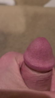 Shared Video by justmydick with the username @justmydick, who is a verified user,  November 19, 2024 at 5:03 PM. The post is about the topic Rate my pussy or dick