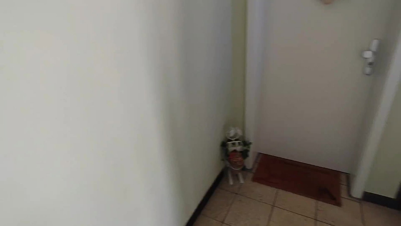 Video by HornyGerman2k with the username @HornyGerman2k, who is a verified user,  April 21, 2022 at 8:56 AM and the text says '#horny #guy #masturbating in #public stairwell of my apartment building.

#gay #solo #cum'
