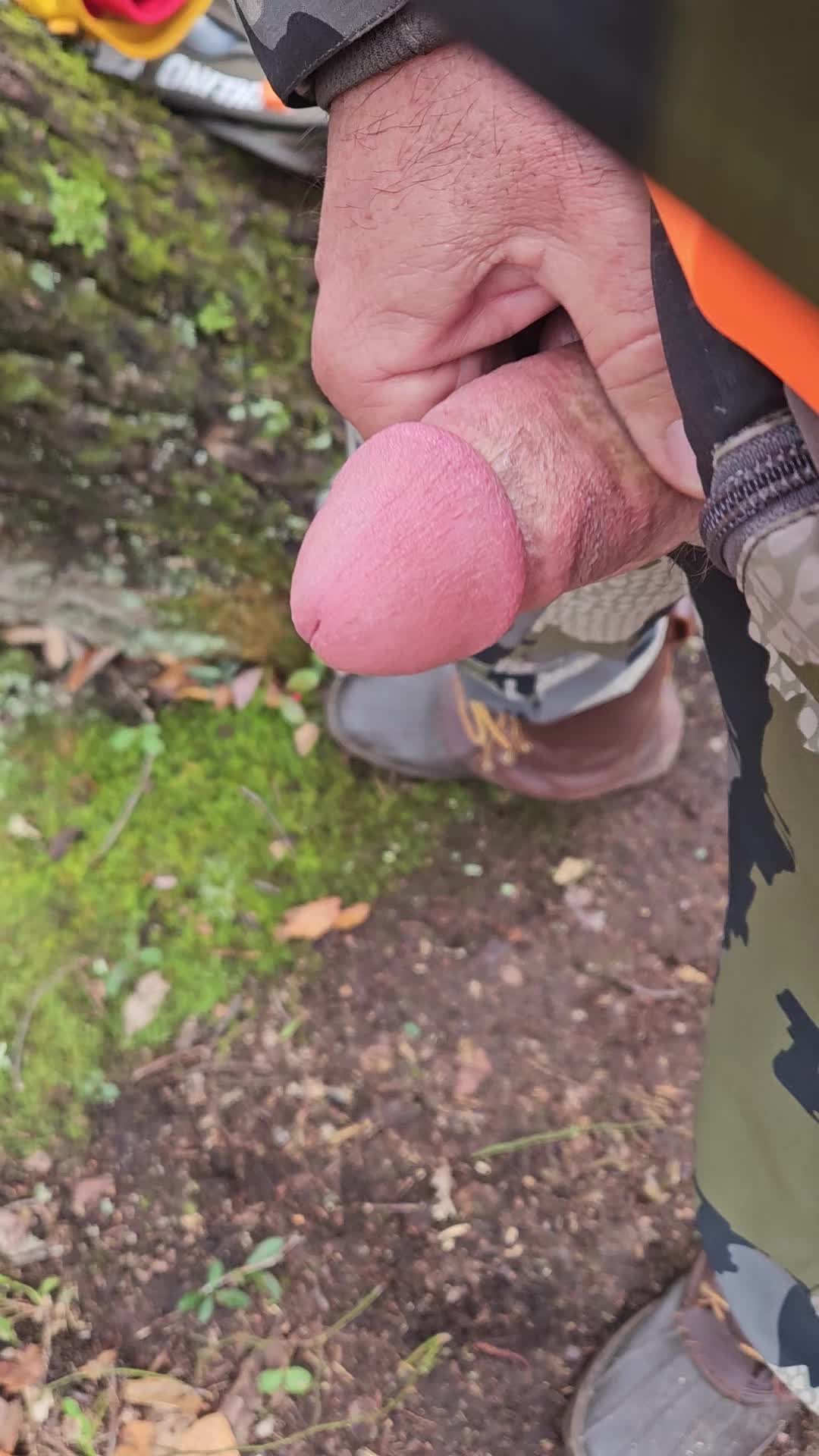 Video by Crazy1 with the username @Crazy1, who is a verified user,  November 25, 2023 at 1:16 PM. The post is about the topic Cumming Cock and the text says 'While hunting in the mountains'
