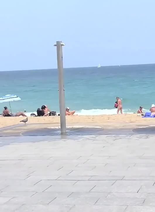 Video by SirinaDroll with the username @sirinadroll, who is a verified user,  July 20, 2023 at 10:45 PM. The post is about the topic Beauty Outdoor and the text says 'Monika walks #naked in #public #beach'