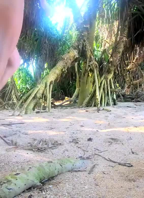 Video by SirinaDroll with the username @sirinadroll, who is a verified user,  January 4, 2024 at 2:18 AM. The post is about the topic Beauty Outdoor and the text says '#Naked #Girl #walks in the jungle on the #shore of the Indian Ocean'