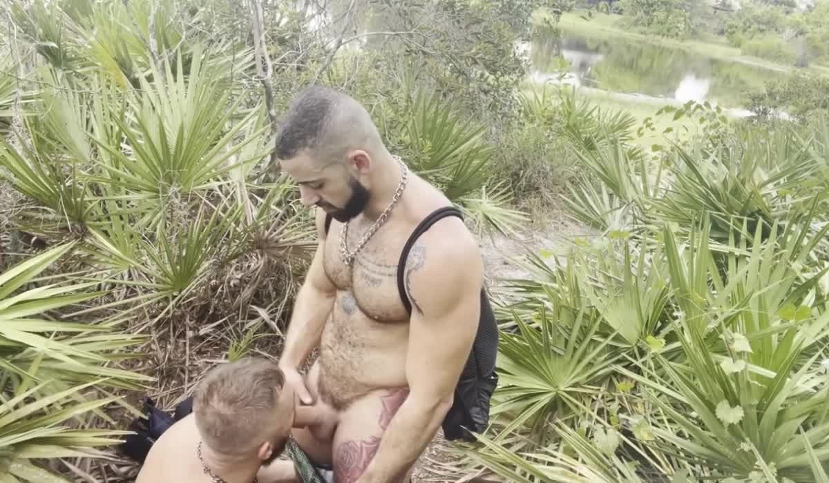 Explore the Post by mike50667 with the username @mike50667, who is a verified user, posted on March 13, 2024. The post is about the topic Gay Outdoors.