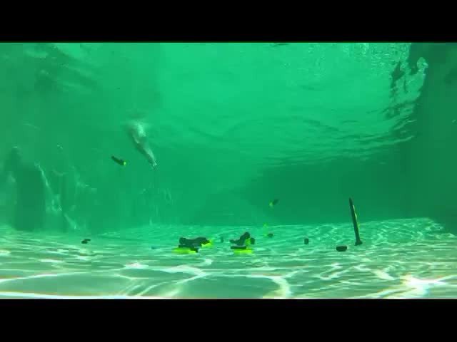 Video by mike50667 with the username @mike50667, who is a verified user,  November 4, 2023 at 3:00 PM. The post is about the topic Men Underwater