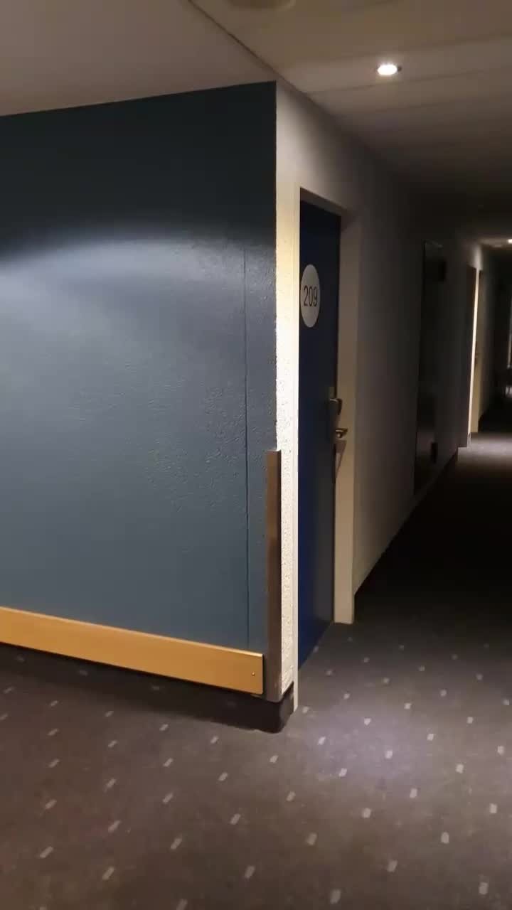 Dildo Fuck Hotel Lobby elevator public