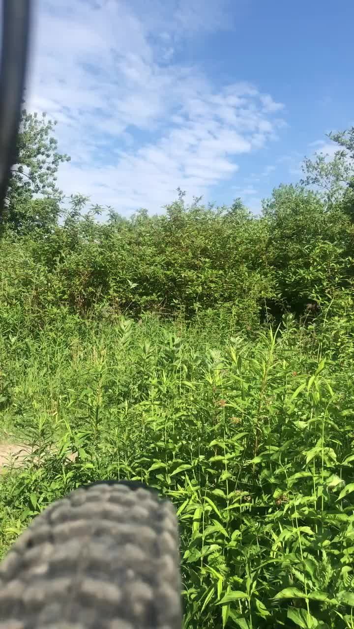 Video by PissGuy with the username @Gaypissing, who is a verified user,  August 14, 2023 at 11:01 PM and the text says 'The great outdoors'