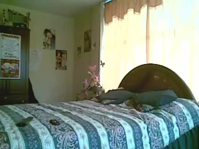 Shared Video by Confiado56 with the username @Confiado56, who is a verified user,  April 28, 2024 at 6:46 PM