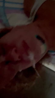 Video by SIRnSlut with the username @SIRnSlut, who is a star user,  October 14, 2024 at 11:51 AM. The post is about the topic Videos and the text says '#SoundsofSex                                                      Listen to the #Mature #Slut #Throat eagerly accept all of me!

As always, full #Video available at links in bio'