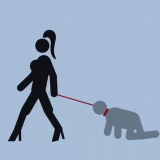 Dog of Mistress walking