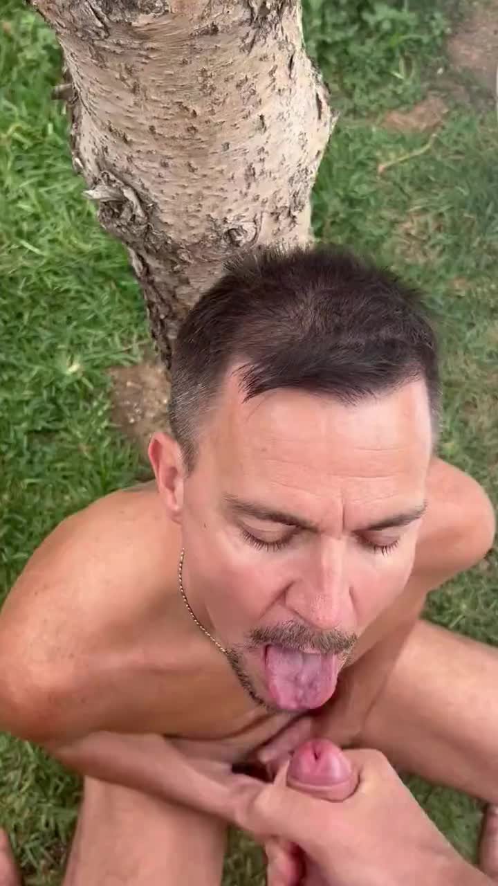Video by Nickplus33 with the username @Nickplus33, who is a verified user,  May 18, 2024 at 4:36 AM and the text says '#hotvid #outdoorcruising #dilf #beard #cummybeard #cumfacial #cumshooter #cumfountain #hung #cumeater'