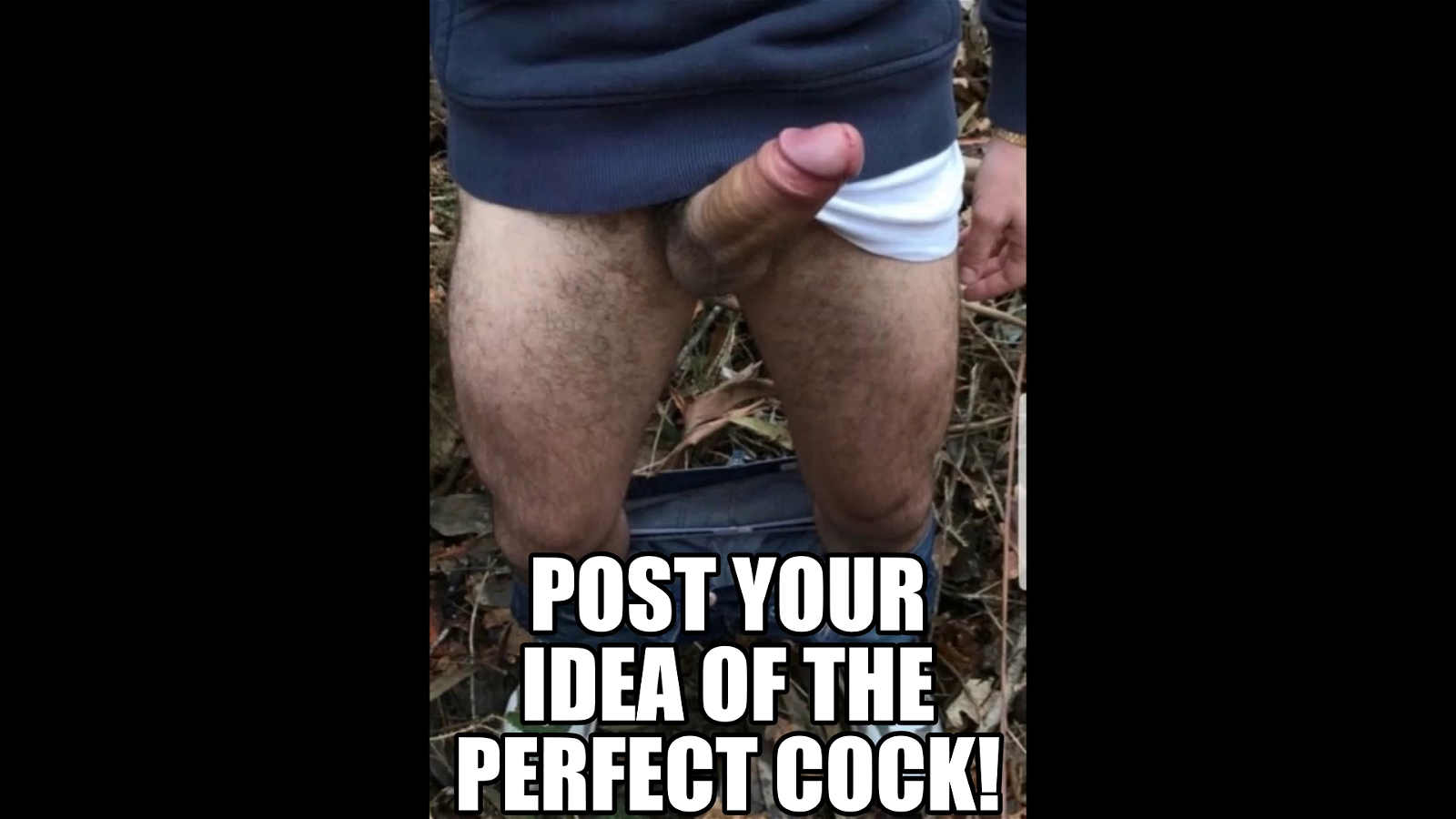 Video by regj with the username @regj, who is a verified user,  November 8, 2019 at 3:40 PM and the text says 'Post your idea of The Perfect Cock!'