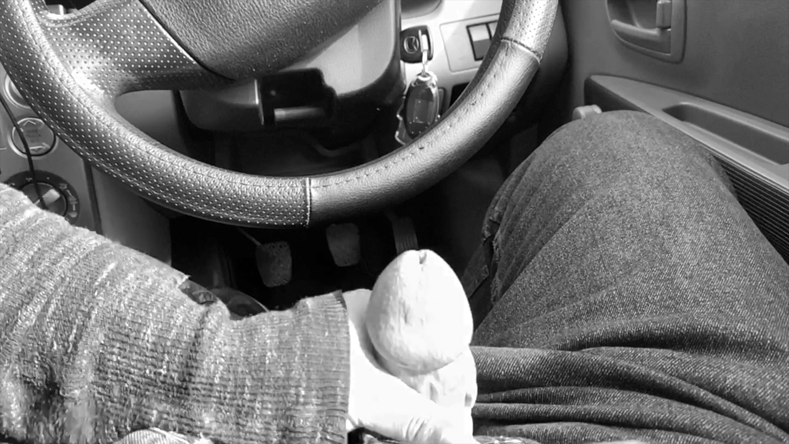 Video by Danielio with the username @Danielio, who is a verified user,  September 29, 2019 at 9:47 AM and the text says 'Naughty Jayme gives Danielio a handy little car handjob'