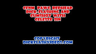 celeste1b-dfv-full