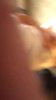 Shared Video by RalphieMay with the username @RalphieMay,  August 20, 2024 at 2:21 AM