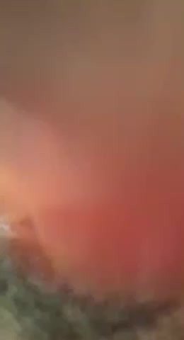Video post by Krissy1999