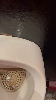 Video by Resiakmz with the username @Resiakmz, who is a verified user,  February 19, 2023 at 11:51 AM. The post is about the topic At the Urinal and the text says 'so horny. needed to get rid of it'