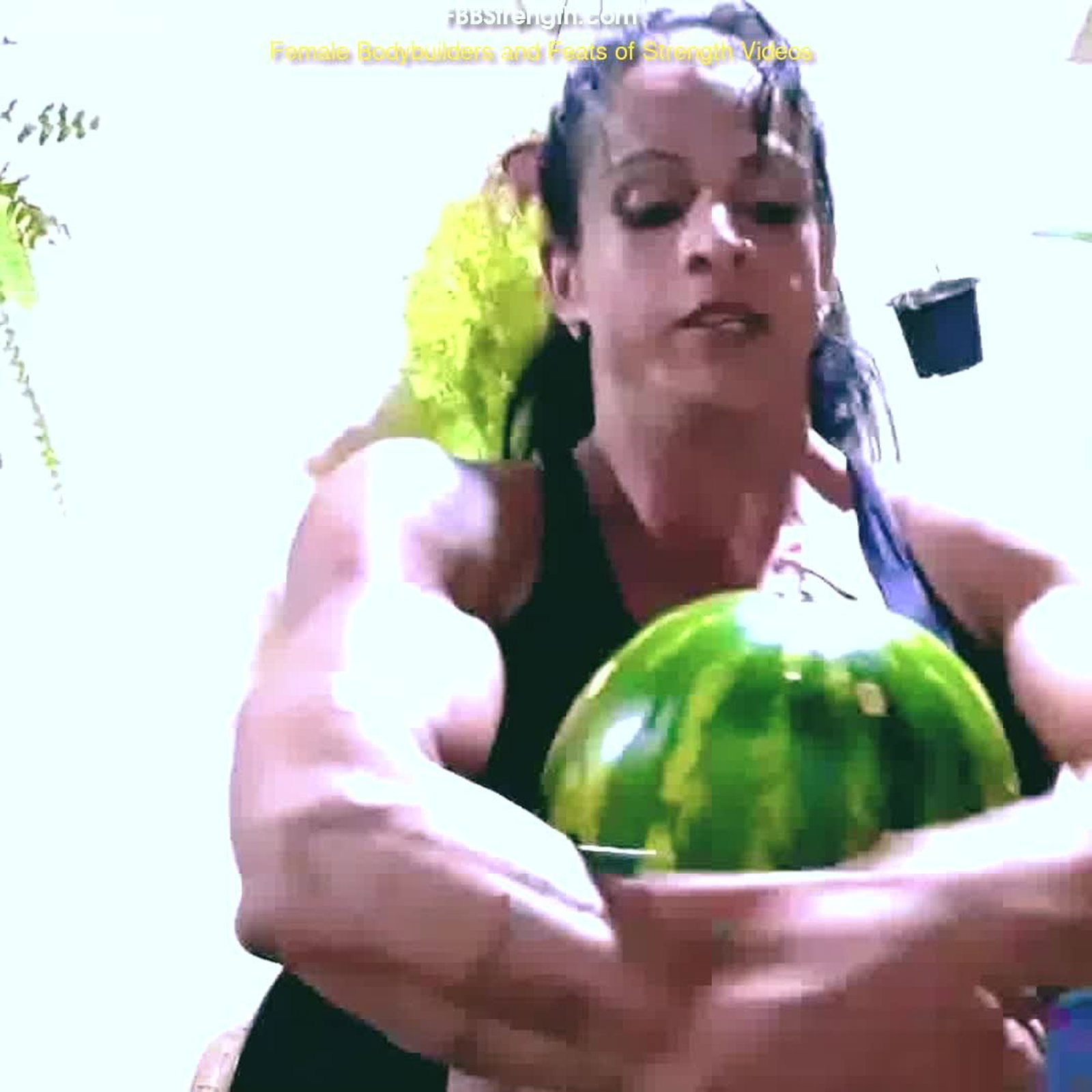 Video by MusclegirlStrength with the username @MusclegirlStrength, who is a brand user,  March 30, 2024 at 11:17 PM and the text says 'Muscle Goddess Crushes Watermelons with Power!: fbbstrength.com

#musclegirl #musclegirllove #femalemuscle #femalemuscles #featsofstrength #MuscleCrush #FlexFruit #FruitPowerhouse'