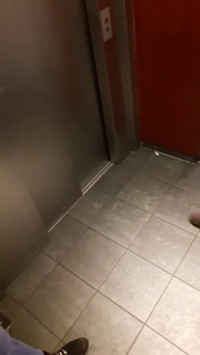 Video by FreakyGeeky with the username @FreakyGeeky,  December 10, 2020 at 3:44 AM. The post is about the topic Cheating Wifes/Girlfriends and the text says '#public #oral #blowjob #elevator'