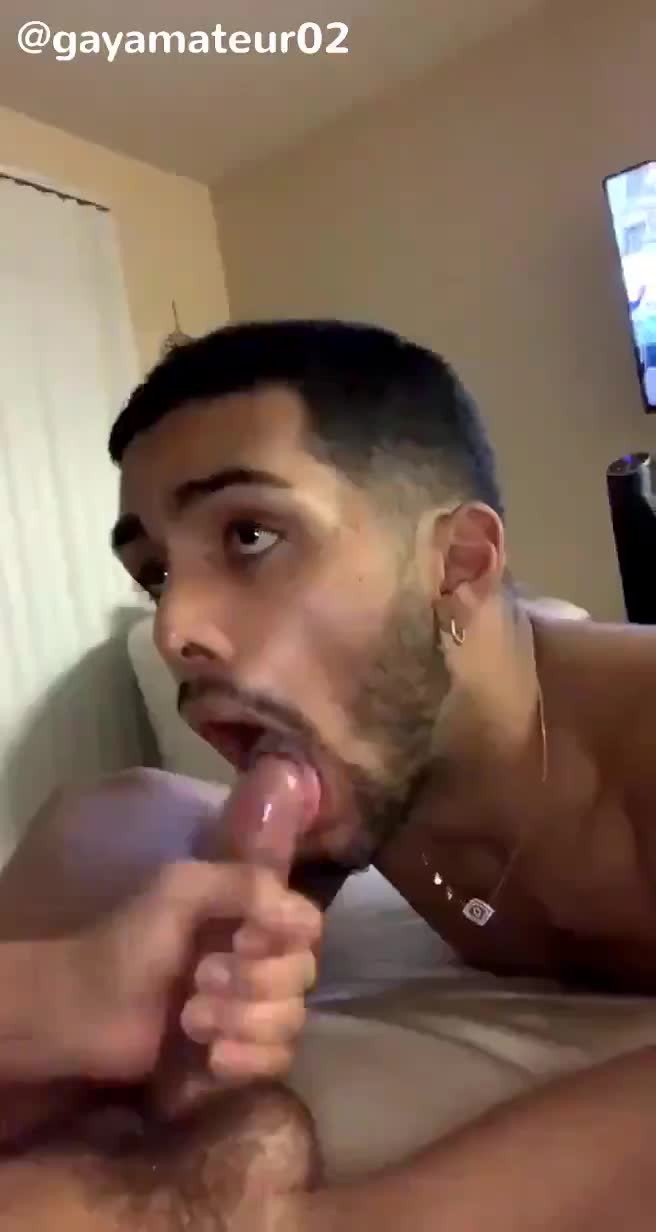Video by Homodawg with the username @Homodawg,  May 21, 2024 at 2:01 AM. The post is about the topic Gay Cum Eating Vids and Stuff