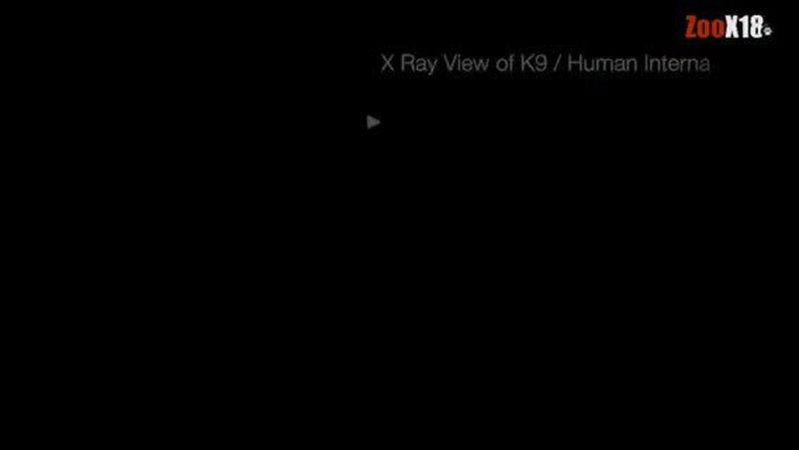 Video by SeanBlack with the username @SeanBlack,  April 11, 2021 at 1:19 PM. The post is about the topic Limitless taboo and the text says 'XRay'