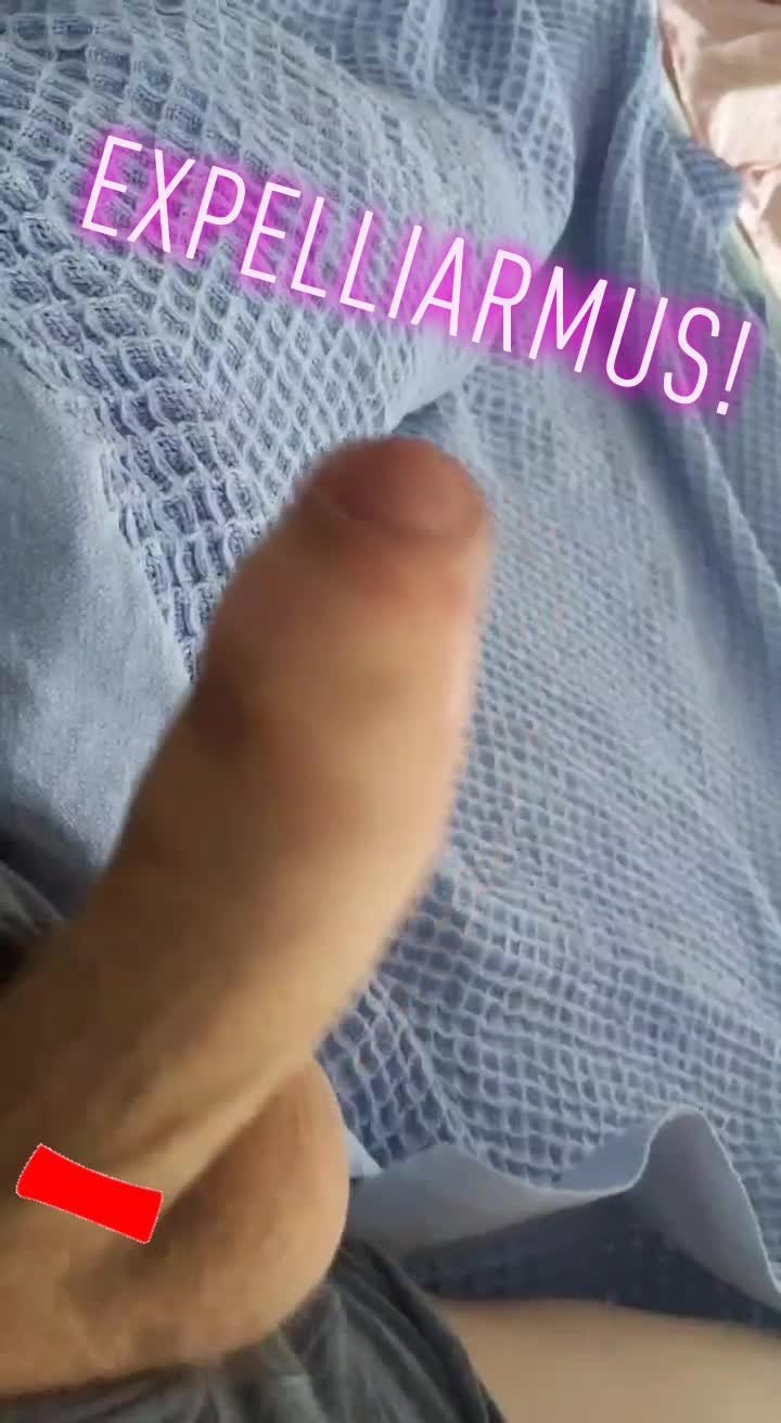 Video by Fatduggie with the username @Fatduggie, posted on February 4, 2021. The post is about the topic Thick cocks and the text says 'My wand is hardwood with a dragon jizz core! 😆'