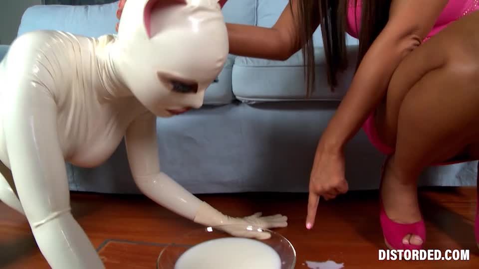 Video by AdultPrime with the username @adultprime, who is a brand user,  April 20, 2024 at 7:15 AM. The post is about the topic Latex and the text says 'Good kitty ❤️ Full: https://adultpri.me/133814'