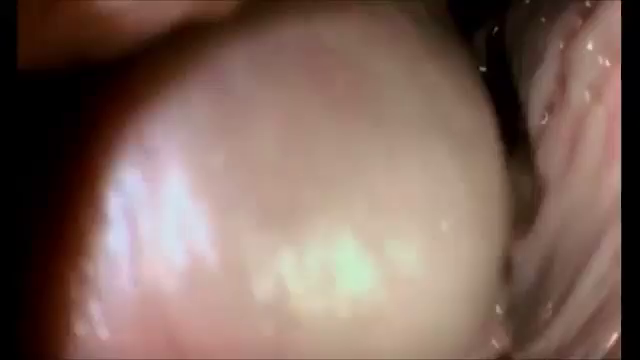 Video by kissmyass3 with the username @kissmyass3, who is a verified user,  January 27, 2019 at 7:52 PM. The post is about the topic Awesome Videos and the text says 'xvideos.com_539bb3babbde887c1ff303fa9e6d42fa'