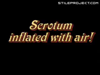 castrator-male-cutter:

j2bballs:

hmmmm,  amazing !!!!!

Scrotum inflated with air. Must try…