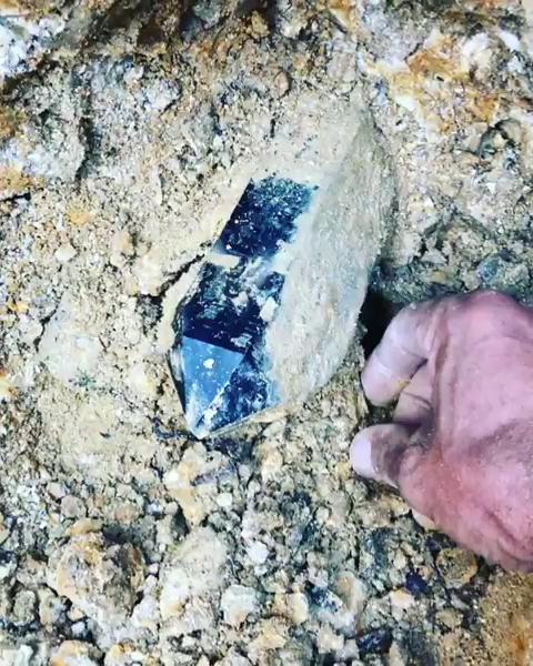earthstory:

Giant twinned quartz crystal comes out of sediments on top of a pegmatite deposit.