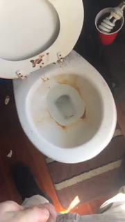 masters-faggots:Clean my toilet with your tounge bitch